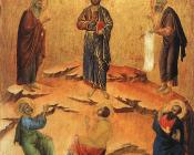 变容 - 杜乔·迪·博宁塞纳